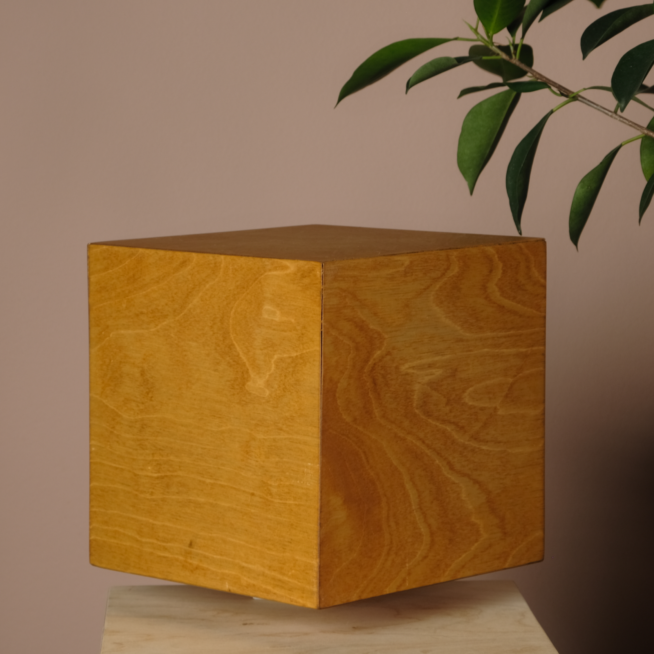 Cube — Grounded Structure